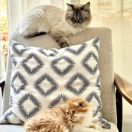 We love all our four-legged residents Big tails or tiny paws, we love all our four-legged residents!